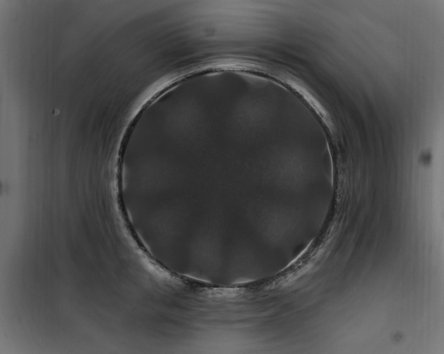 X0000100750853200806191142