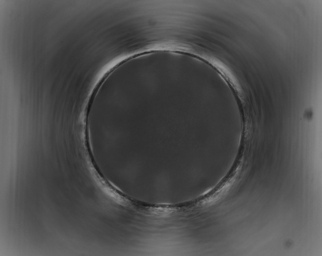 X0000100750854200806191142