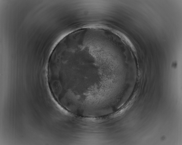 X0000100750855200806191142