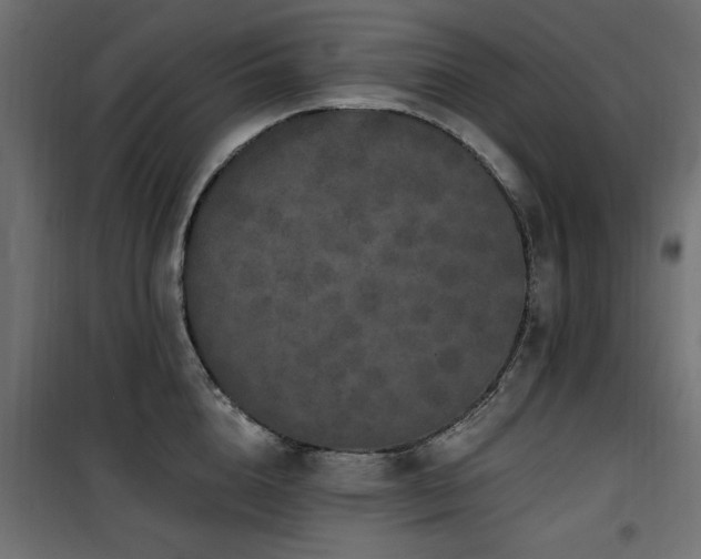 X0000100750856200806191142