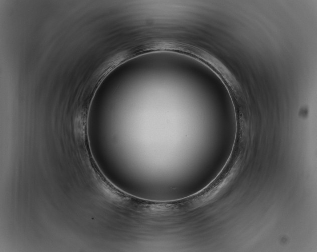 X0000100750857200806191142