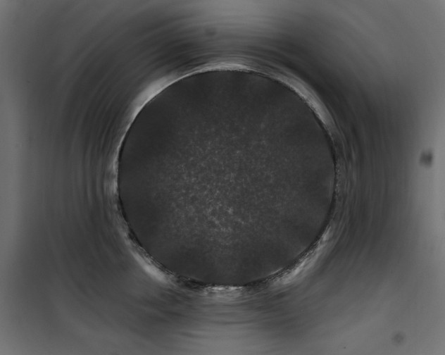 X0000100750858200806191142