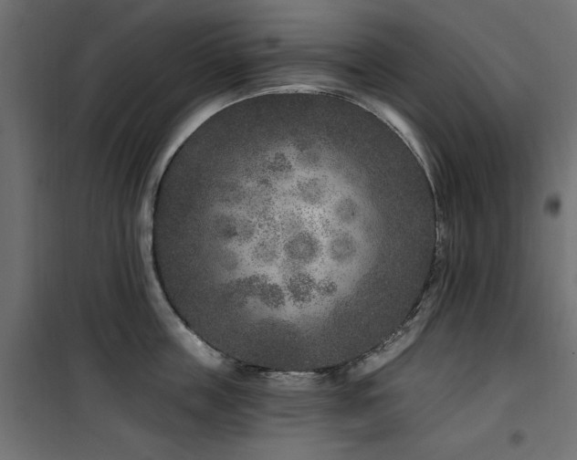 X0000100750859200806191142