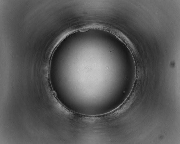 X0000100750860200806191142