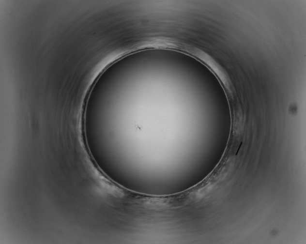 X0000100750861200806191142