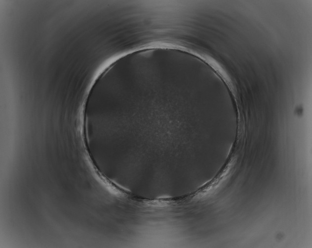 X0000100750862200806191142