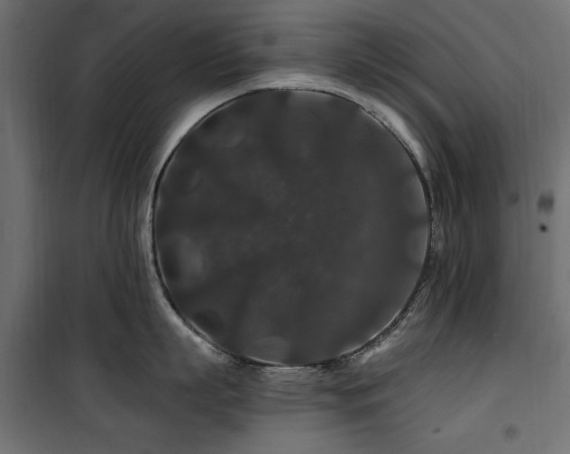 X0000100750863200806191142