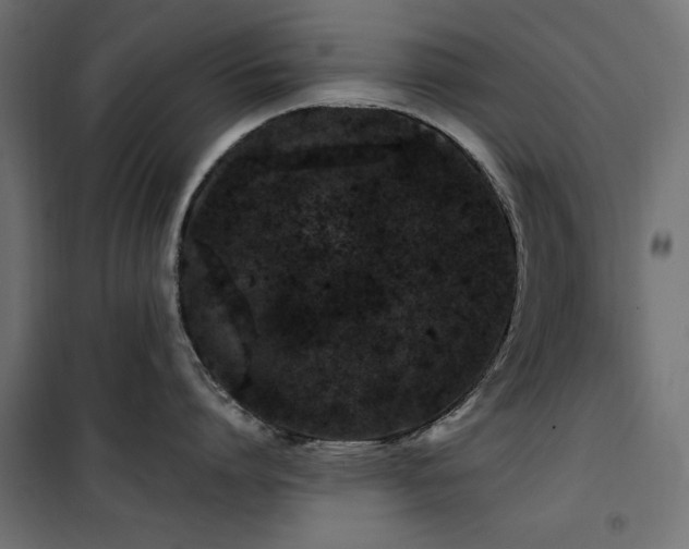 X0000100750864200806191142