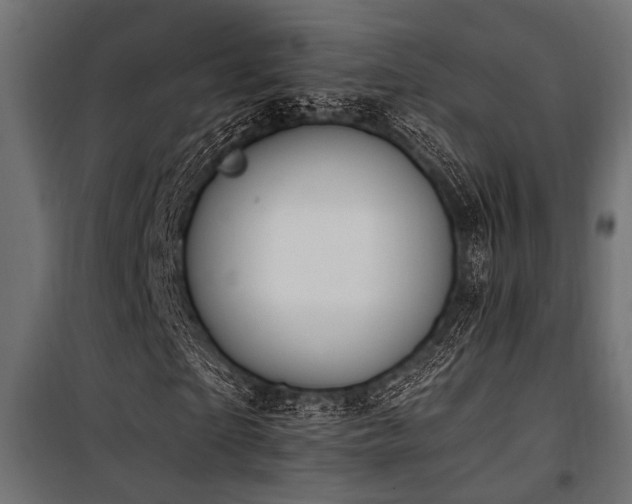 X0000100750865200806191141