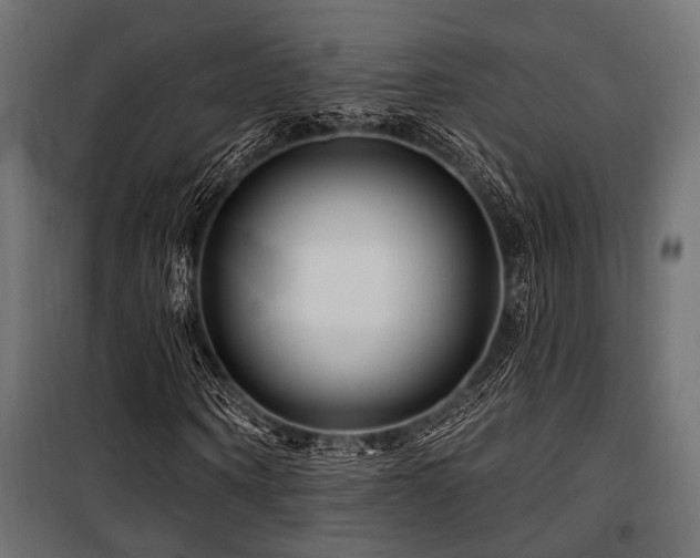 X0000100750866200806191141