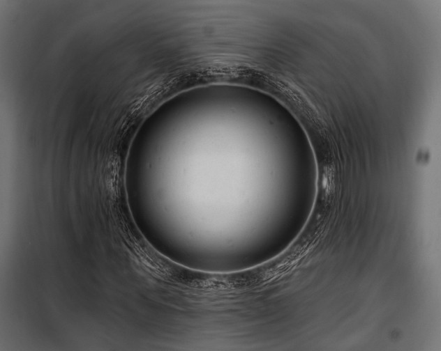 X0000100750867200806191141