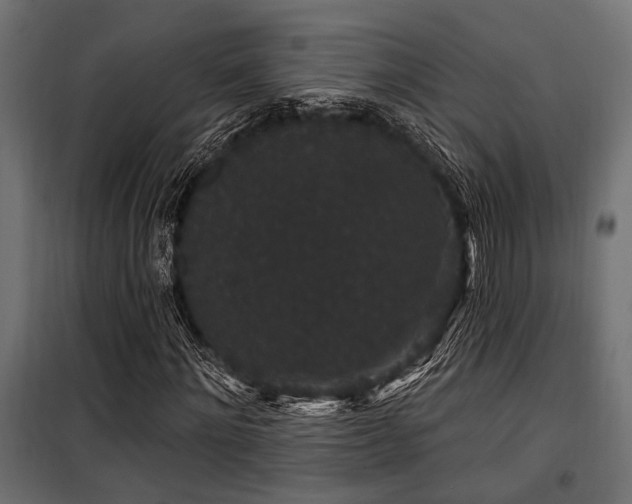 X0000100750868200806191141