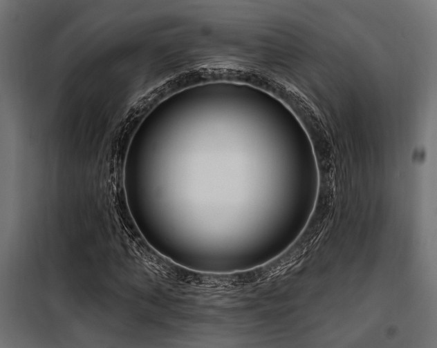 X0000100750870200806191141