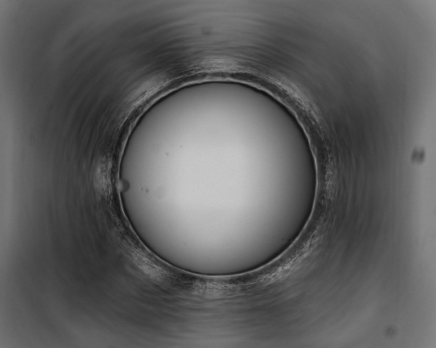 X0000100750873200806191141