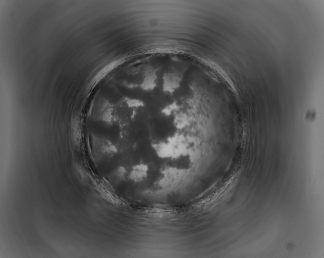 X0000100750874200806191141