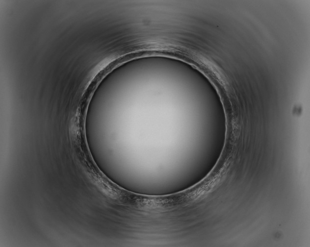 X0000100750875200806191141