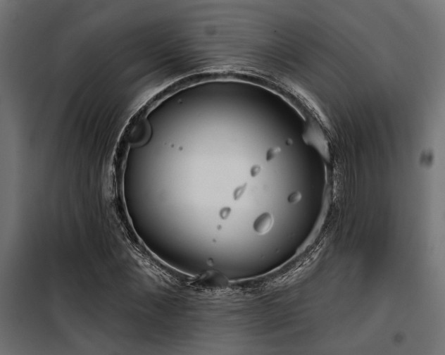 X0000100750876200806191141