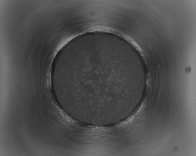 X0000100750877200806191141