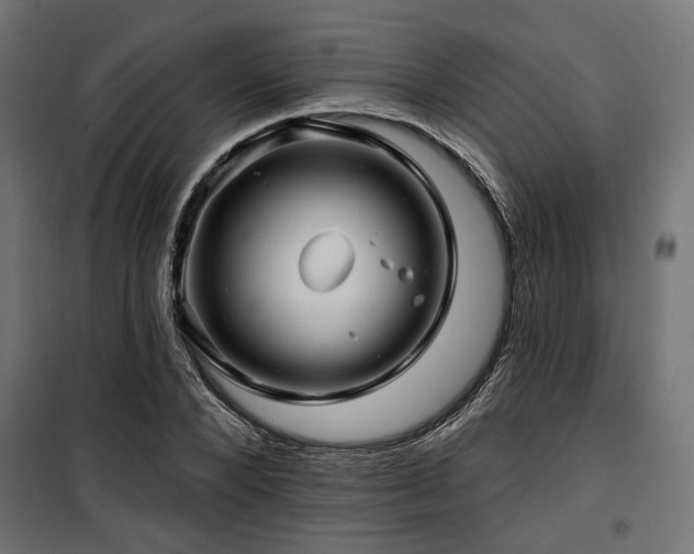 X0000100750880200806191141