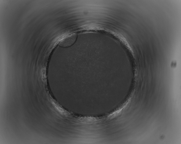 X0000100750881200806191141