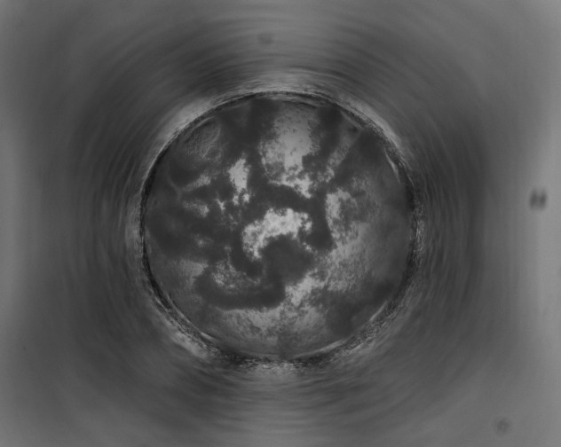 X0000100750882200806191141