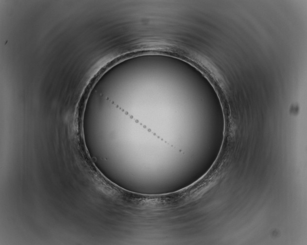 X0000100750883200806191141