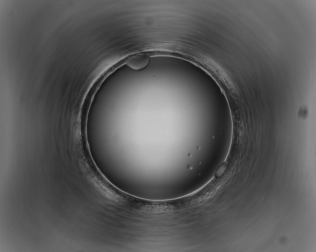 X0000100750884200806191141