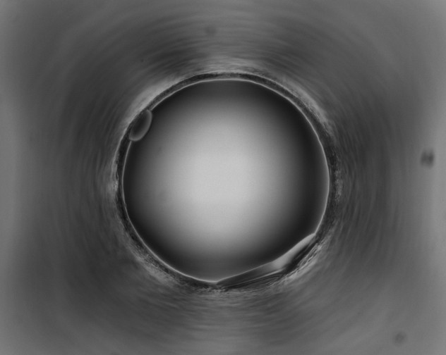 X0000100750885200806191141