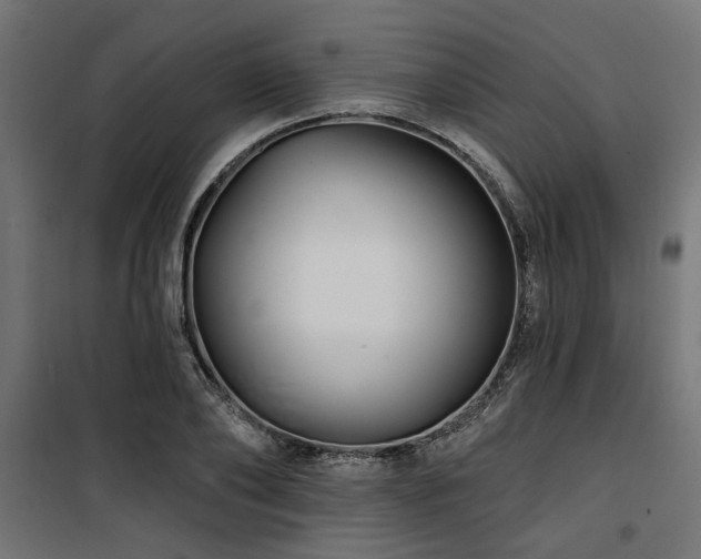 X0000100750886200806191141