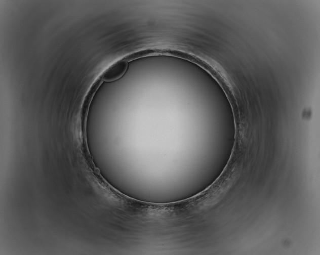 X0000100750887200806191141