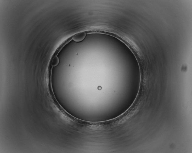 X0000100750888200806191141