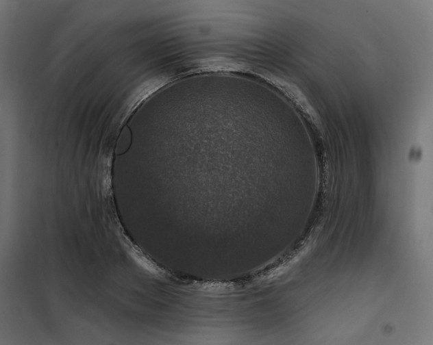 X0000100750889200806191141