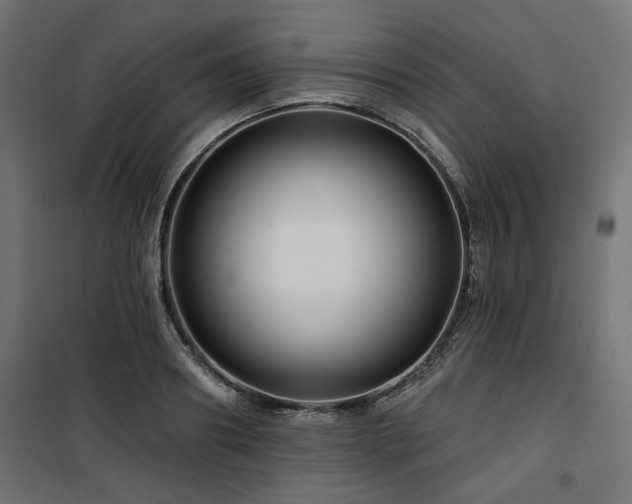 X0000100750890200806191141