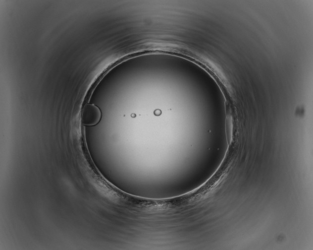 X0000100750891200806191141