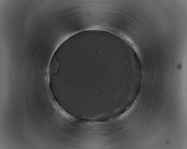 X0000100750892200806191141