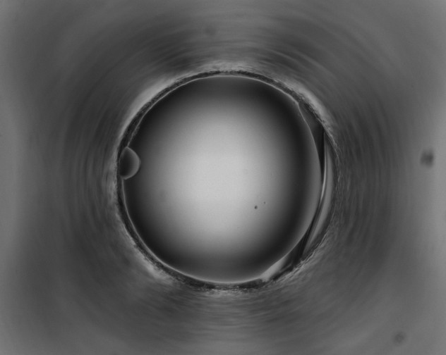 X0000100750894200806191141