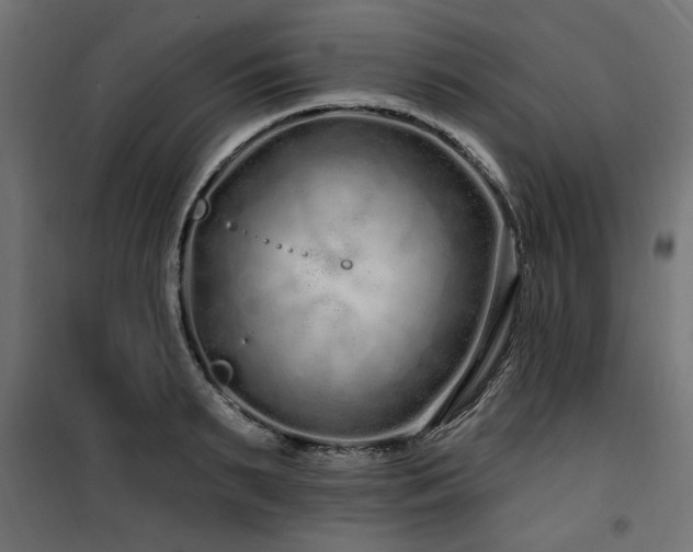 X0000100750895200806191141