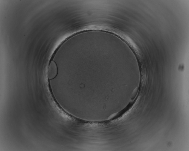 X0000100750896200806191141