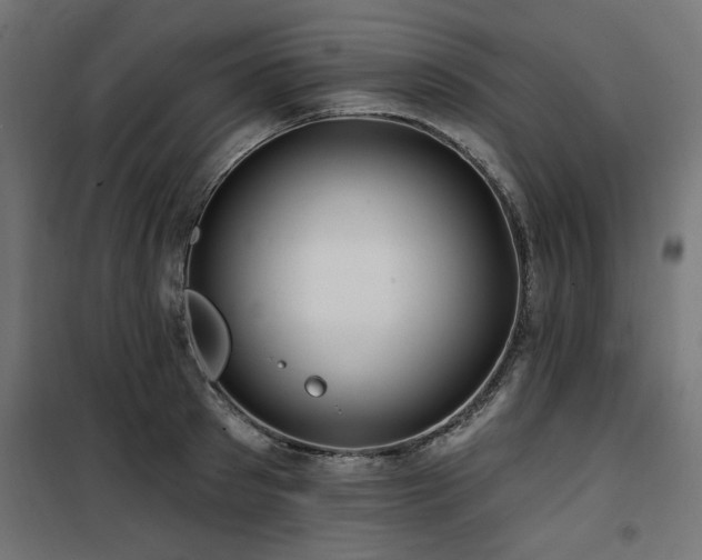 X0000100750897200806191141