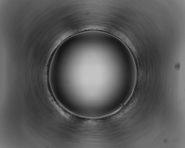 X0000100750898200806191141