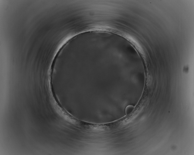 X0000100750899200806191141