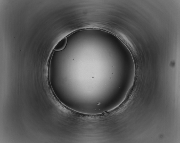 X0000100750900200806191141