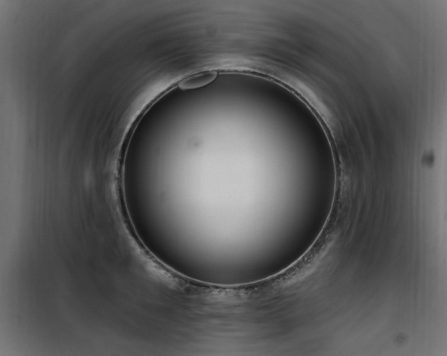 X0000100750901200806191141