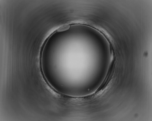 X0000100750902200806191141