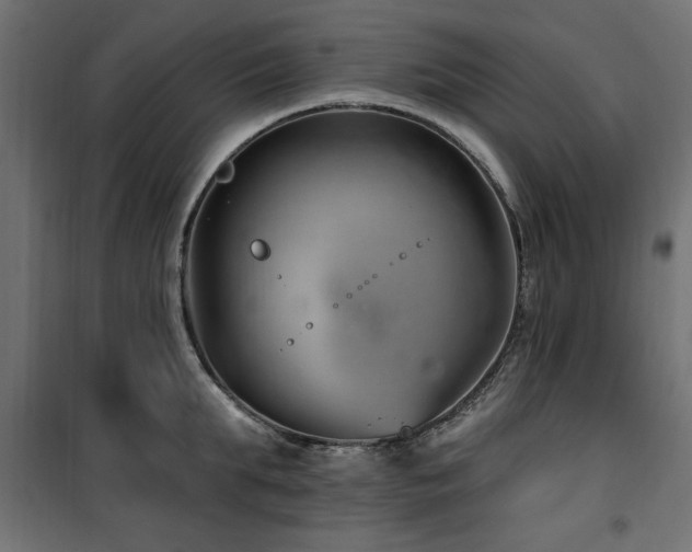 X0000100750903200806191141