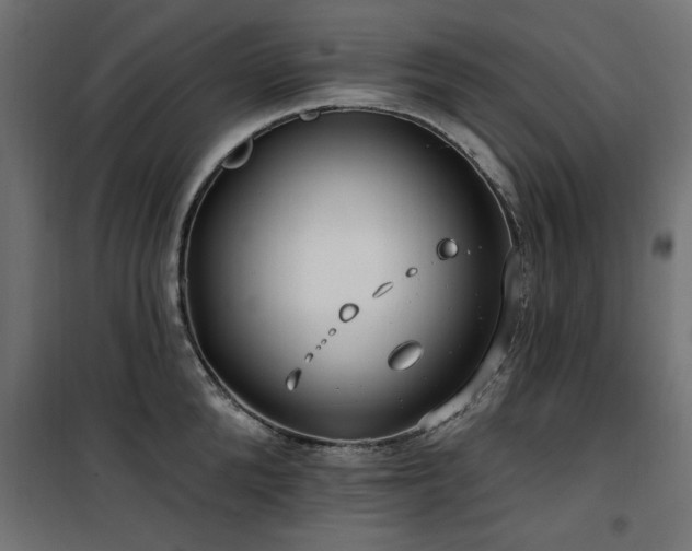 X0000100750904200806191141