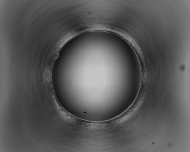 X0000100750905200806191141