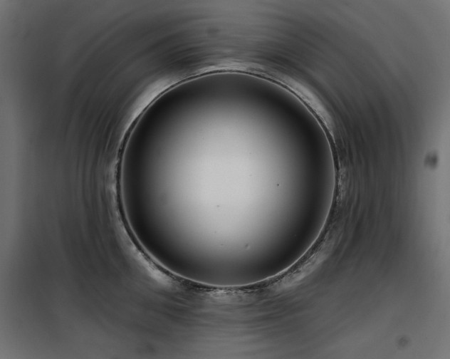 X0000100750906200806191141