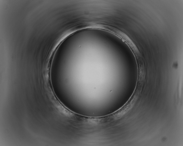 X0000100750908200806191141