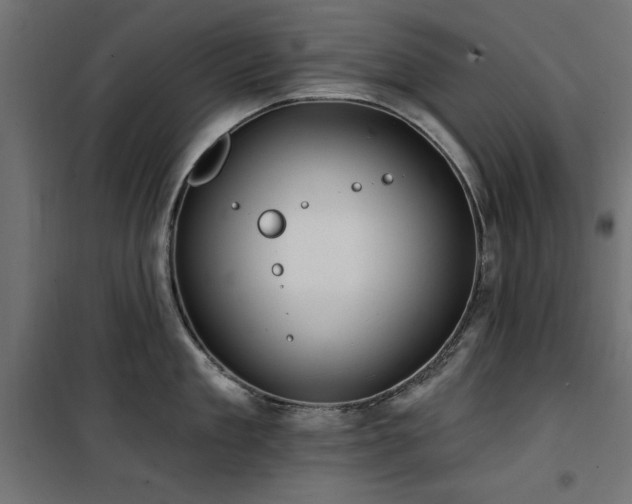 X0000100750909200806191141